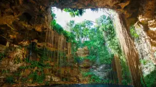 ¿Cuál es el municipio de Quintana Roo con más cenotes? Uno es el más profundo de todo el estado