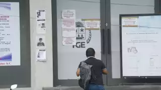 Quintanarroenses confían más en corporaciones federales que en policías locales