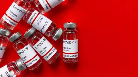La nueva vacuna de Pfizer contra Covid fue autorizada por Cofepris. La nueva vacuna de Pfizer contra Covid fue autorizada por Cofepris.