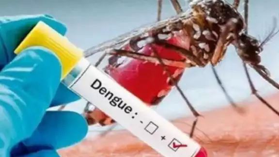 Guerrero enfrenta un incremento del 300% en casos de dengue respecto al año pasado Guerrero enfrenta un incremento del 300% en casos de dengue respecto al año pasado