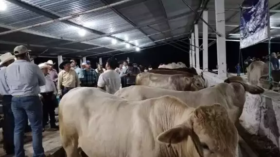 Tradición y fiesta en la Expo Ganadera de Champotón 2025