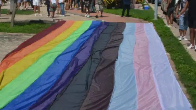 Entre las recomendaciones, la SEP pide a los directivos implementar protocolos de prevención y atención del acoso escolar