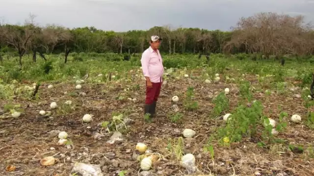 Álvaro Lario destacó que aunque México es una nación de renta media alta, mantiene una desigualdad rural alarmante