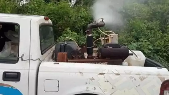Muertes por dengue en México llegan a 101