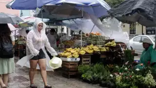 Conagua señala la fecha en que el Huracán Beryl podría tocar tierra en Yucatán: EN VIVO