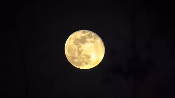 Te decimos todo lo que debes saber sobre este fenómeno Te decimos todo lo que debes saber sobre este fenómeno