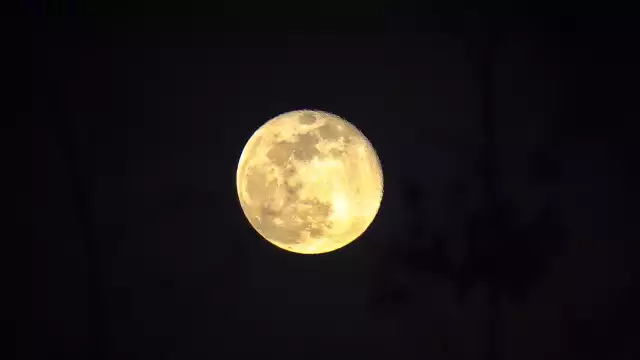 Te decimos todo lo que debes saber sobre este fenómeno