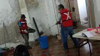 Una enorme serpiente asustó a las empleadas de una óptica, quienes llamaron al 911 para pedir ayuda