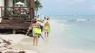 Hoteleros de Playa del Carmen enfrentan afectaciones por la erosión y sargazo de playas 