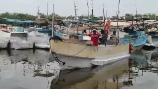  Arranca conteo de embarcaciones y censo de pescadores en Yucatán; fortalecerán su seguridad y evitarán naufragios 