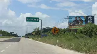 Reportan otro atropellamiento de animal silvestre en carreteras de Chetumal