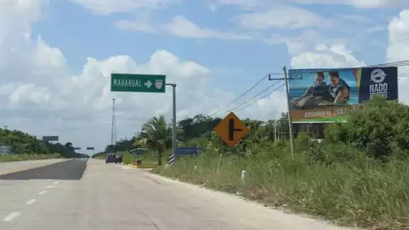 En la carretera Cafetal-Mahahual se han visto animales fallecidos por atropellamientos