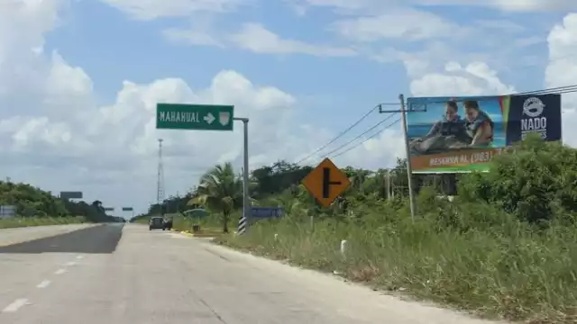 En la carretera Cafetal-Mahahual se han visto animales fallecidos por atropellamientos
