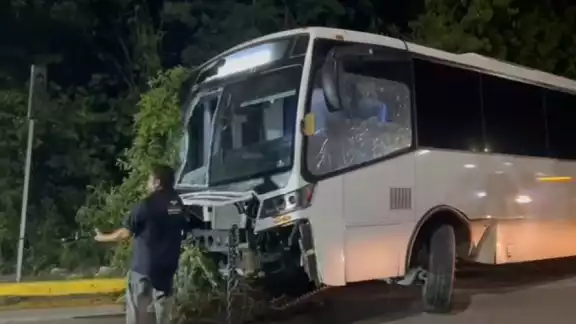 El vehículo terminó incrustado en la zona verde, con la parte frontal severamente dañada a consecuencia del choque contra ramas y árboles El vehículo terminó incrustado en la zona verde, con la parte frontal severamente dañada a consecuencia del choque contra ramas y árboles