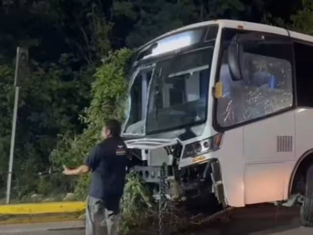 El vehículo terminó incrustado en la zona verde, con la parte frontal severamente dañada a consecuencia del choque contra ramas y árboles