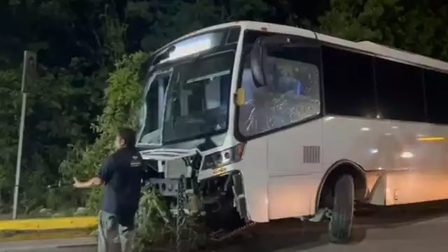 El vehículo terminó incrustado en la zona verde, con la parte frontal severamente dañada a consecuencia del choque contra ramas y árboles