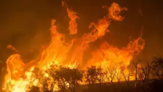 ¡Arde Campeche! Incendios forestales ya afectaron 3 mil 600 hectáreas 