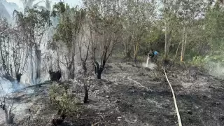 Quema de basura genera incendio de maleza en la Ignacio Zaragoza de Escárcega