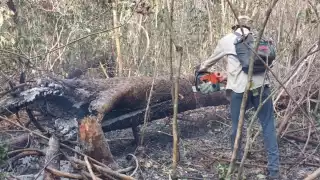 Campeche reporta un nuevo incendio forestal, ya van cinco activos: Semabicce