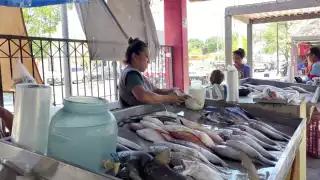 Por calor extremo, IMSS Campeche llama a tomar medidas de higiene en alimentos 
