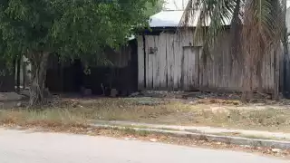 ¡Ante los ojos de todos! Amante de lo ajeno se lleva televisión en Escárcega  