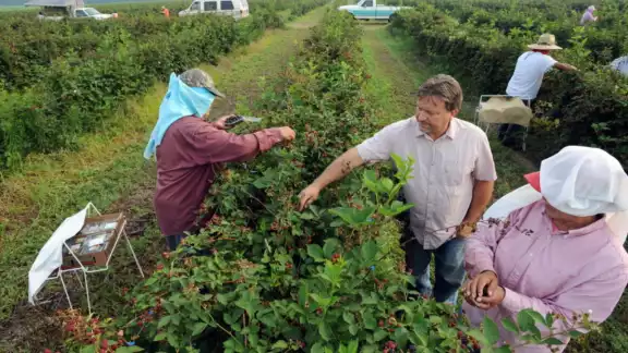 El próximo mes, Canadá y las empresas asentadas en su territorio requieren el ingreso de por lo menos 62 personas El próximo mes, Canadá y las empresas asentadas en su territorio requieren el ingreso de por lo menos 62 personas