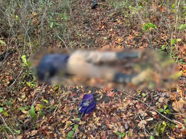 Fue hallado mientras buscaban una vaca