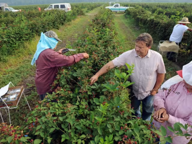 El próximo mes, Canadá y las empresas asentadas en su territorio requieren el ingreso de por lo menos 62 personas
