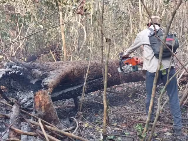 Pixoyal del municipio de Champotón fue registrado un nuevo siniestro