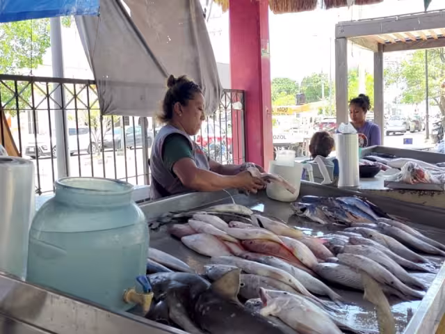 Es necesario separar los alimentos crudos de los cocidos para evitar la contaminación