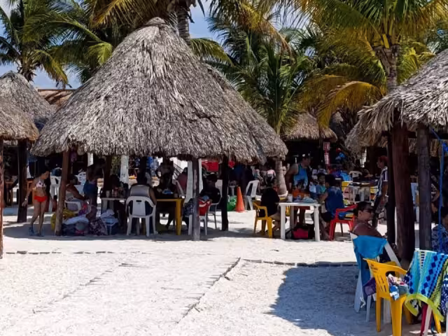 Todas las palapas cuentan con extintores