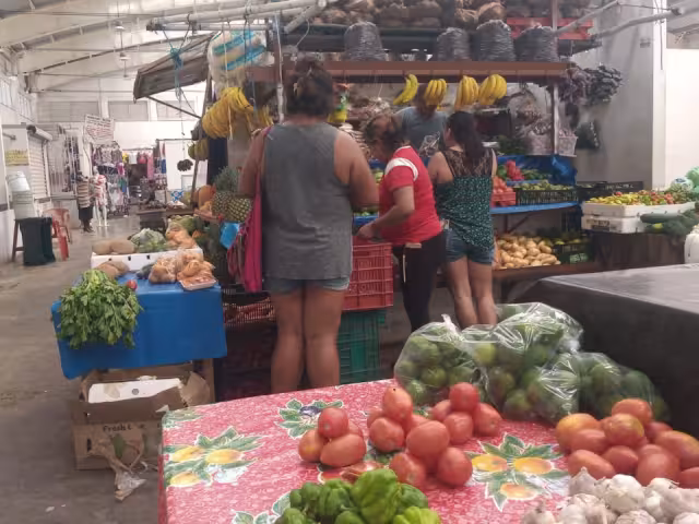 Después del mediodía ya no hay clientes, lo que se vendió antes de esa hora será todo