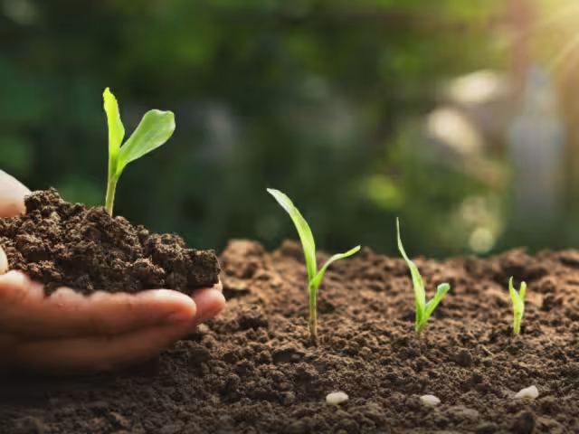 El experto pide que el gobierno atienda el problema del cambio climático