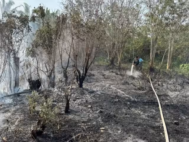 Dan recomendaciones para evitar incendios