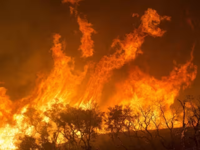 Incendios  alcanzaron una afectación de 3 mil 600 hectáreas