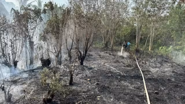 Dan recomendaciones para evitar incendios