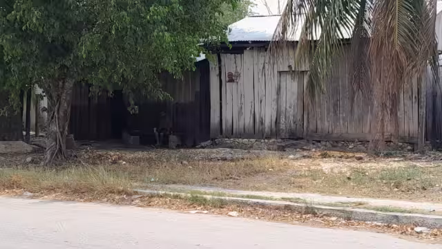 El ladrón se llevó un televisor