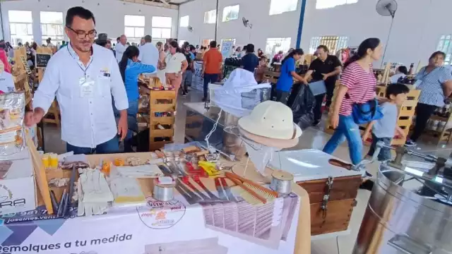 Sólo cuatro millones de pesos recibirán por concepto del fondo estatal