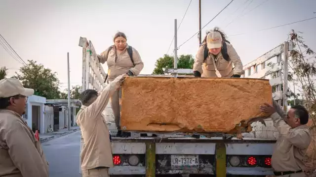 Dijo que las labores de sacar cacharros de las casas igual son de suma importancia