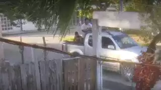 Pareja en motocicleta y sujetos en camioneta roban perros de raza en Champotón