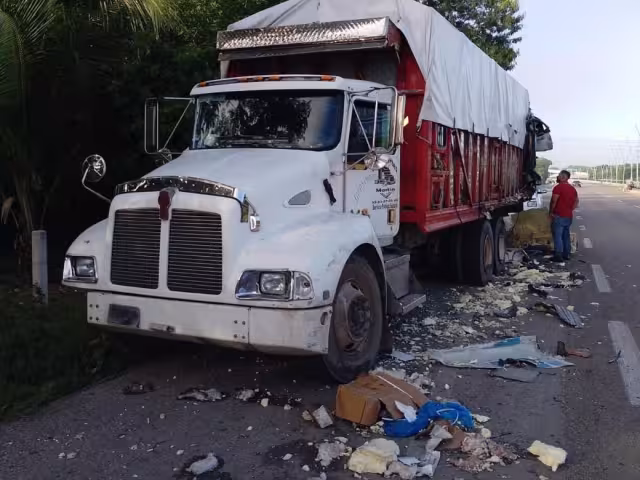 El tráiler cargado con más de 20 toneladas de pollo fresco impactó al tortón por detrás y terminó fuera de la cinta asfáltica.