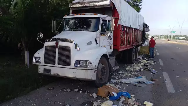 El tráiler cargado con más de 20 toneladas de pollo fresco impactó al tortón por detrás y terminó fuera de la cinta asfáltica.