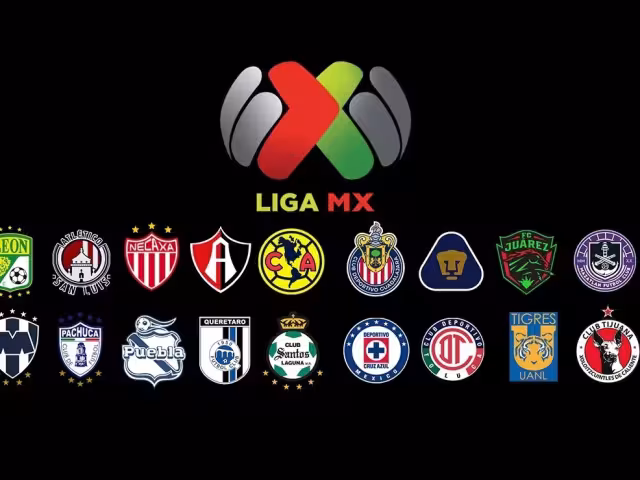 ¿Cómo marcha tu equipo?. Foto: Liga MX