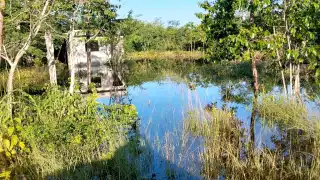 Caminos sacacocechas y áreas de producción han registrado inundaciones