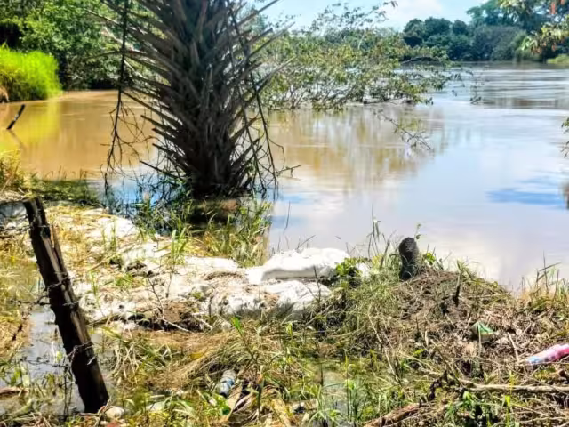 Habitantes de El Salto, en Palizada, alertan sobre el posible desbordamiento del río.