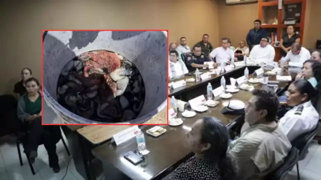 El Gobierno de Yucatán descartó presencia de marea roja en la costa.