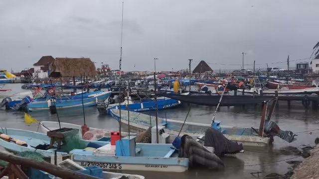 Por sexto día consecutivo, 150 lancheros no han podido ofrecer sus tours por el cierre del puerto