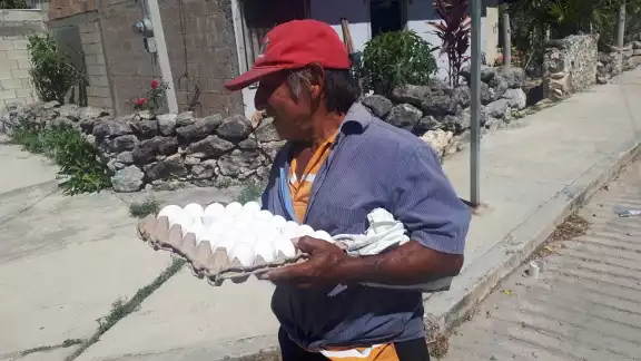 El precio de la reja de huevo en Hopelchén subió de 75 a 90 pesos, un aumento del 20%. El precio de la reja de huevo en Hopelchén subió de 75 a 90 pesos, un aumento del 20%.