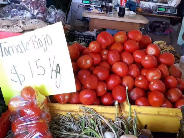 Los vendedores no descartan afectaciones a los cultivos ante el paso de los frentes fríos