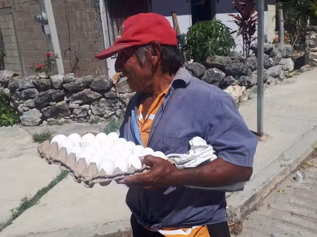 El precio de la reja de huevo en Hopelchén subió de 75 a 90 pesos, un aumento del 20%.